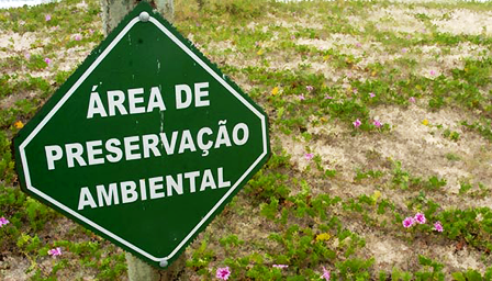DECISÃO: Proprietário de fazenda em Alto Paraíso/GO é multado pela construção de muro em área de preservação permanente
