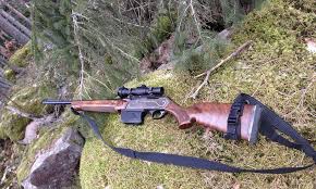 DECISÃO: Determinada apreensão de arma de fogo utilizada por caçador usada em infração ambiental