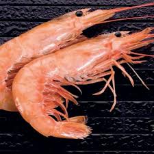 Suspensa importação de camarão originário de pesca selvagem na Argentina