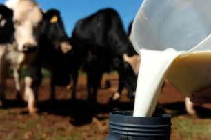 DECISÃO: Empresa que comercializa leite e seus derivados não está obrigada a ter registro no CRMV