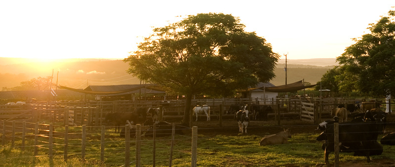 DECISÃO: Comunidade quilombola São Francisco do Paraguaçu deve permanecer no imóvel rural até o julgamento do processo de reintegração de posse