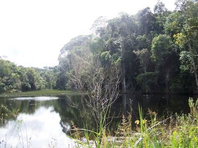 DECISÃO: Mantida reintegração de posse em favor do ICMBio das terras do Parque Nacional do Descobrimento (BA)