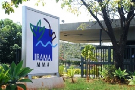 DECISÃO: Servidores do Ibama são condenados por ato de improbidade administrativa