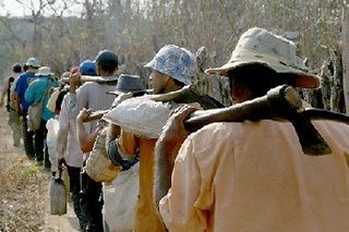 DECISÃO: TRF1 condena acusado de submeter 11 pessoas a trabalho escravo no Pará