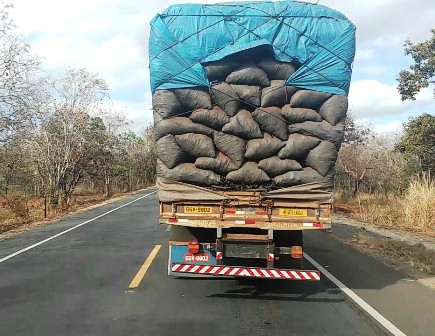 DECISÃO: Veículo utilizado em transporte irregular de carvão oriundo de desmatamento não autorizado deve ficar sob a guarda do Ibama