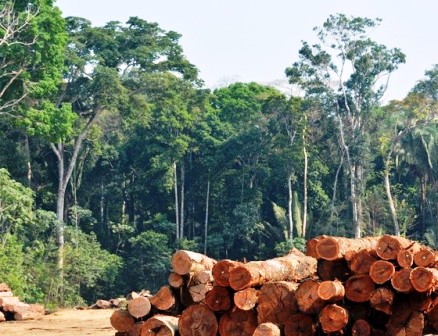 DECISÃO: TRF1 condena empresa ao pagamento de indenização no valor de R$ 23 milhões por dano material ambiental