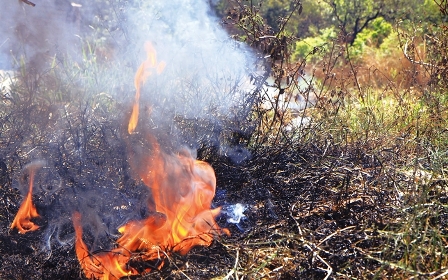 DECISÃO: Proprietário de imóvel responde pelo dano ambiental por uso de fogo em área agropastoril sem autorização legal