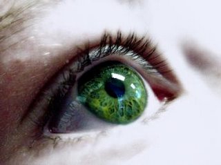 DECISÃO: TRF1 garante a bacharel a prática em optometria de diagnóstico ocular em consultório